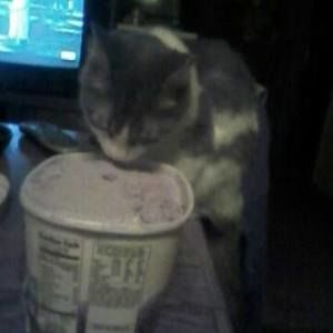 Meet your Posher, Noel